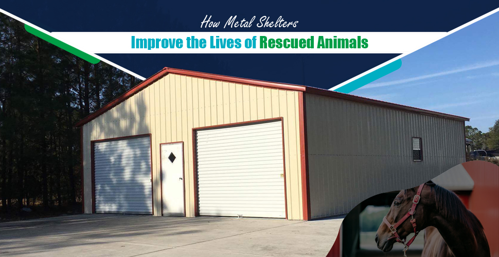 How Metal Shelters Improve The Lives Of Rescued Animals